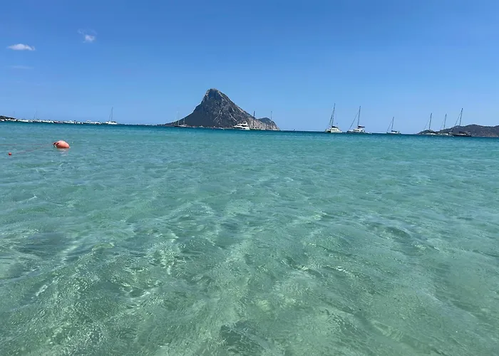 Villa Con Giardino E Spettacolare Vista Mare A Porto San Paolo
