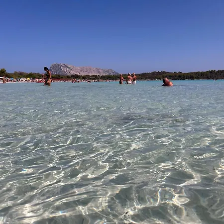 Con Giardino E Spettacolare Vista Mare A ポルト・サン・パーオロ